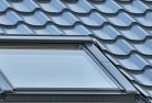 Hazel Parkskylight-replacements.jpg; ?>